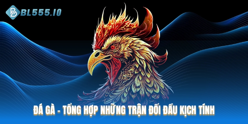 Đá gà - Tổng hợp những trận đối đầu kịch tính