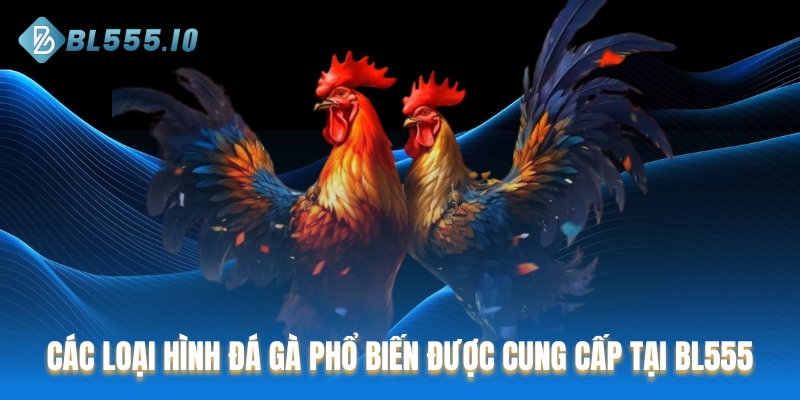 Các loại hình đá gà phổ biến được cung cấp tại BL555