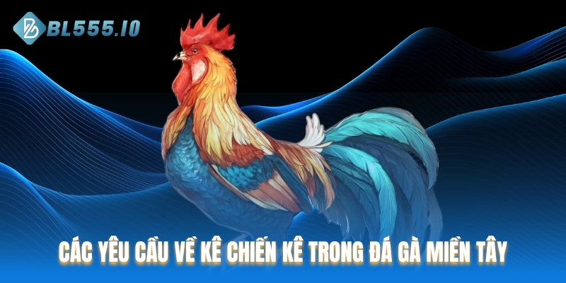 Các yêu cầu về kê chiến kê trong đá gà miền Tây