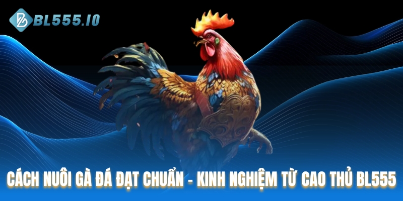 Cách nuôi gà đá
