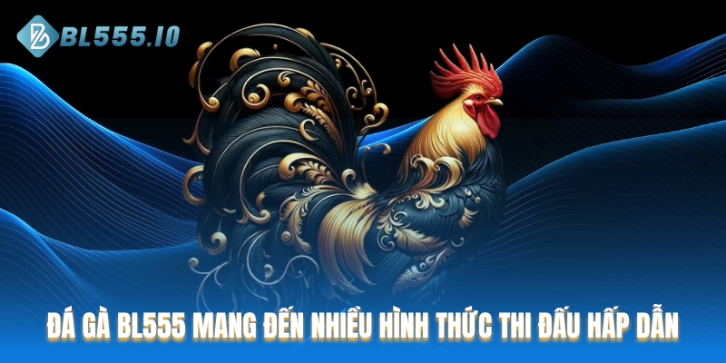 Đá Gà BL555 mang đến nhiều hình thức thi đấu hấp dẫn