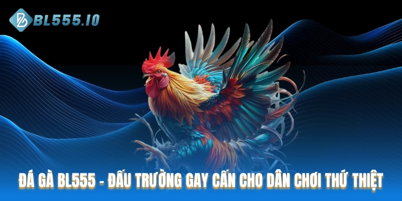 Đá Gà BL555