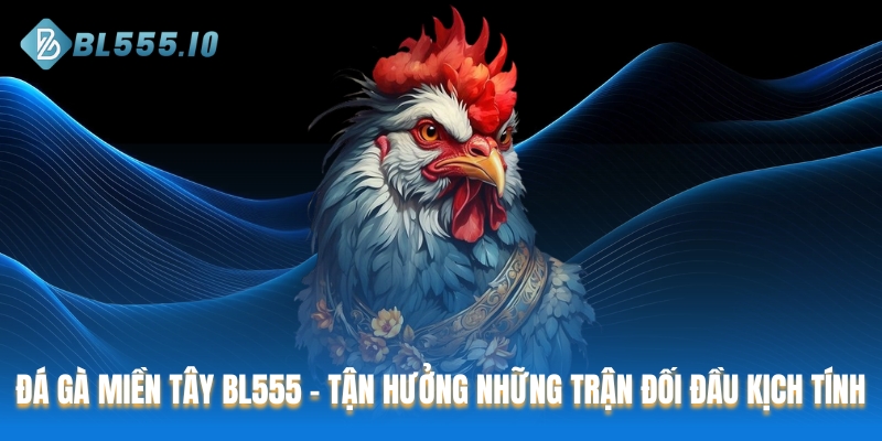 Đá gà miền Tây