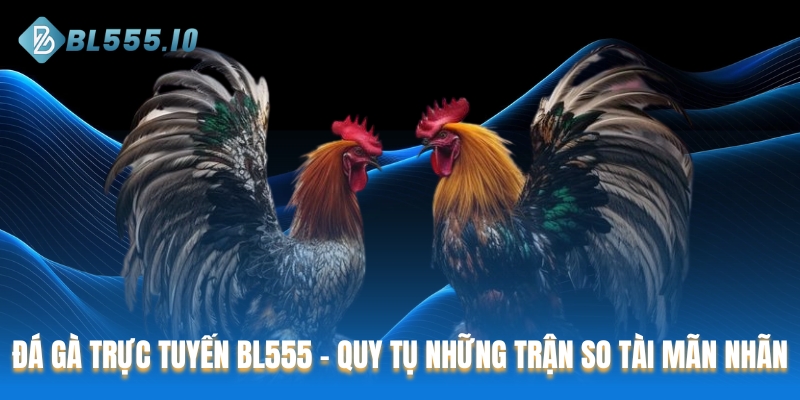 Đá gà trực tuyến