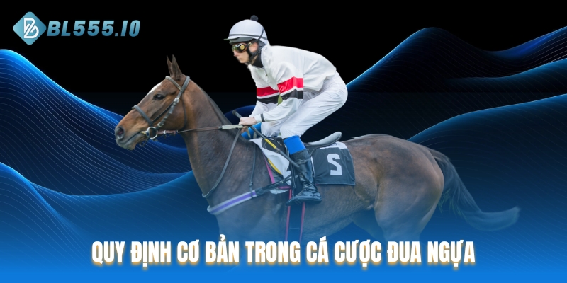 Quy định cơ bản trong cá cược đua ngựa