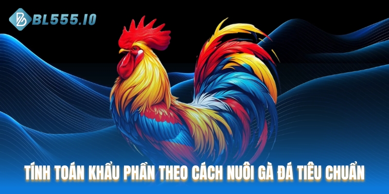 Tính toán khẩu phần theo cách nuôi gà đá tiêu chuẩn