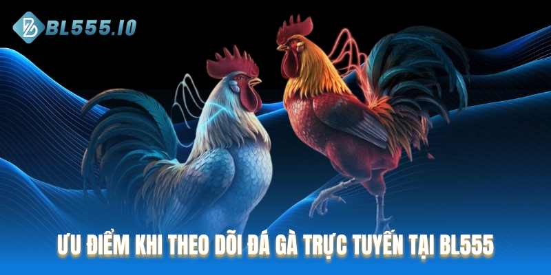Ưu điểm khi theo dõi đá gà trực tuyến tại BL555